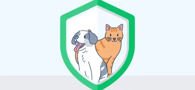 How to put a muzzle on pet insurance increases 