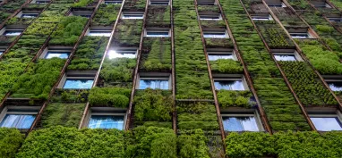 Can you live off-the-grid in a city?