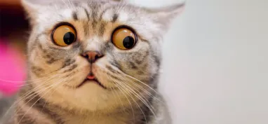 Why is talking about life insurance so damned awkward?